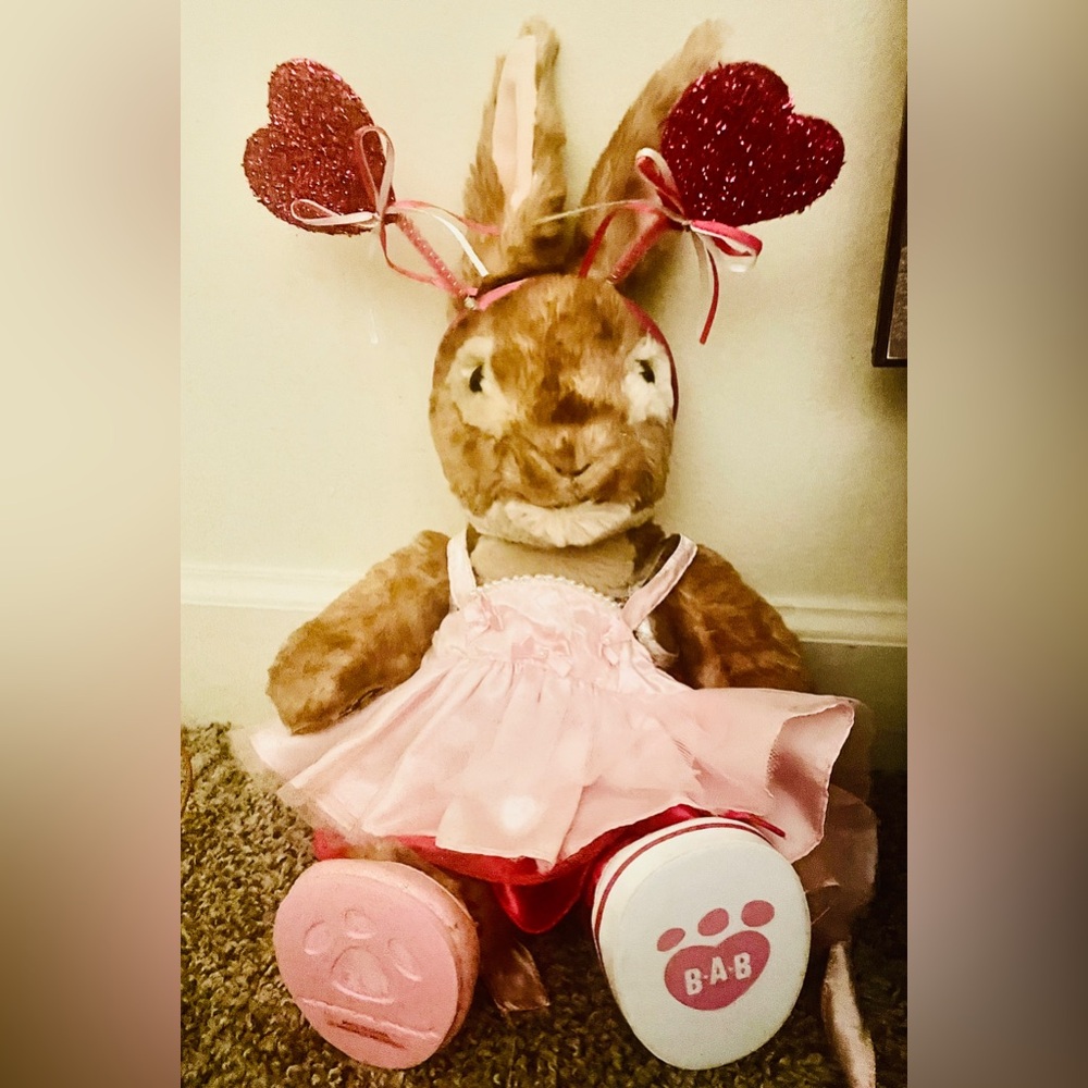 Build-A-Bear-Petter Rabbit and Accessories ❤️ 7 things total